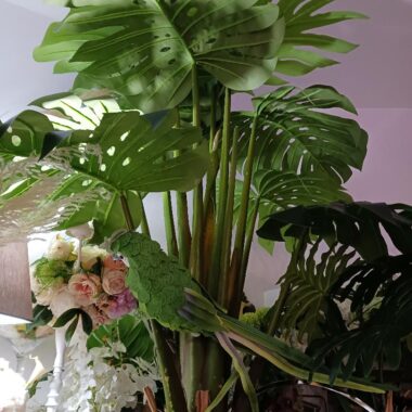 Arbre exotique géant H2m90 Philodendron artificiel - Location végétal exotique