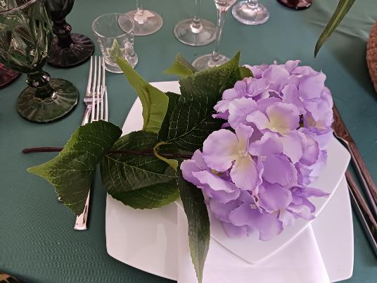 Hortensia Lila mauve x bouquet à 2 têtes 3