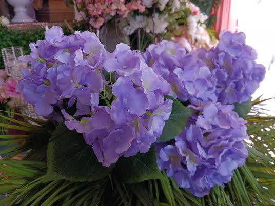 Hortensia Lila mauve x bouquet à 2 têtes4